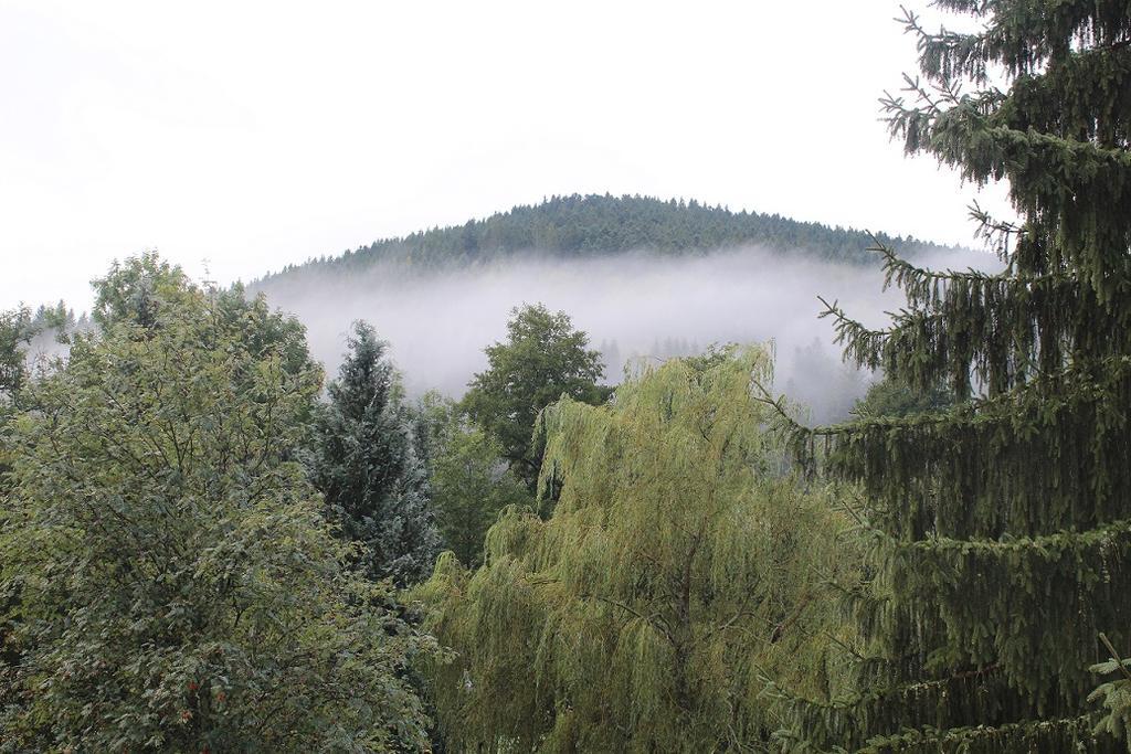 Hotel Les Bruyeres ว็องทรง ภายนอก รูปภาพ